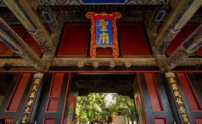 樊振东年薪TOP10引热议(陈芋汐正式宣布退役) 樊振东年薪TOP10引热议(陈芋汐正式宣布退役)