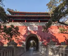 樊振东年薪TOP10引热议(陈芋汐正式宣布退役) 樊振东年薪TOP10引热议(陈芋汐正式宣布退役)